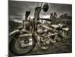 Photographic Print