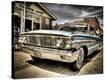 Stretched Canvas Print
