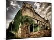 Premium Photographic Print
