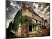 Photographic Print