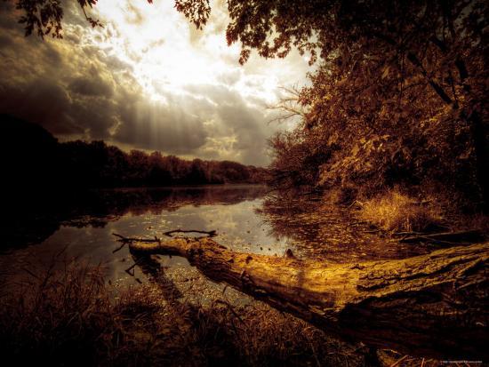 Photographic Print, , large