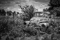 Premium Photographic Print