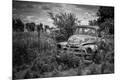 Photographic Print