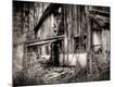 Photographic Print