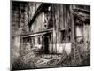Photographic Print