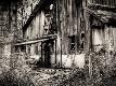 Premium Photographic Print