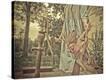 Stretched Canvas Print