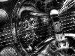 Premium Photographic Print