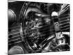 Premium Photographic Print