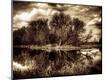 Photographic Print