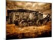 Photographic Print