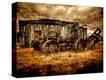 Stretched Canvas Print