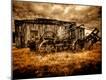 Photographic Print