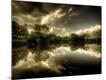 Photographic Print