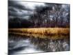 Premium Photographic Print