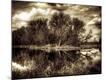 Premium Photographic Print