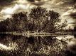 Premium Photographic Print