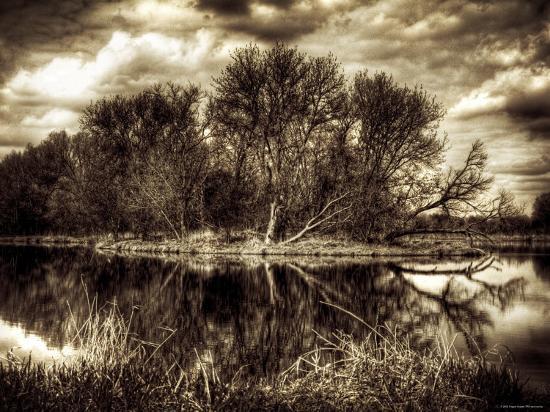Photographic Print, , large