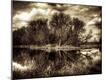 Photographic Print