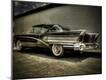 Photographic Print