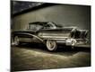 Premium Photographic Print