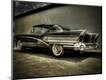 Photographic Print