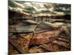 Premium Photographic Print