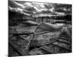 Photographic Print