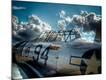 Photographic Print