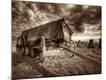 Premium Photographic Print