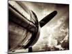 Photographic Print