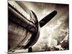 Photographic Print
