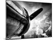 Photographic Print