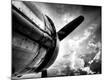 Premium Photographic Print