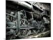 Premium Photographic Print