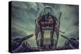 Stretched Canvas Print