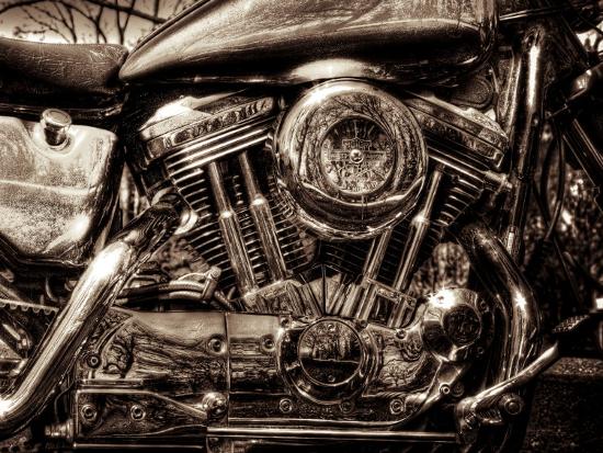 Premium Photographic Print, , large
