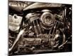 Premium Photographic Print