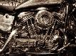 Premium Photographic Print
