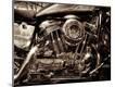 Photographic Print