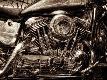 Premium Photographic Print