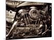 Premium Photographic Print