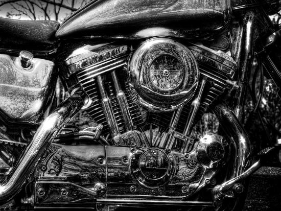 Premium Photographic Print, , large