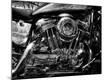 Premium Photographic Print