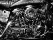 Premium Photographic Print