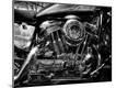 Photographic Print