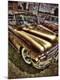 Premium Photographic Print