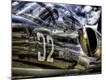 Premium Photographic Print