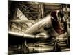Premium Photographic Print