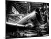 Photographic Print
